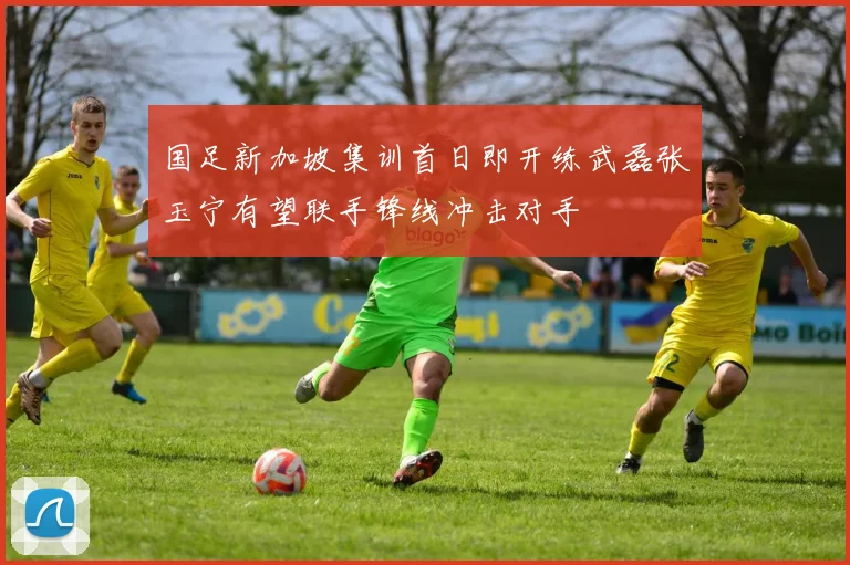 国足新加坡集训首日即开练武磊张玉宁有望联手锋线冲击对手